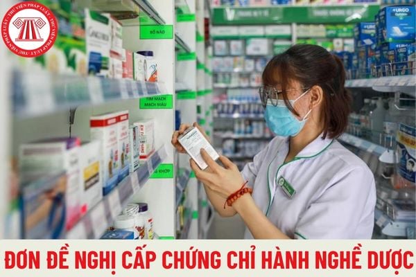 Mẫu Đơn đề nghị cấp chứng chỉ hành nghề dược theo quy định hiện hành là mẫu nào, cách điền đơn như thế nào?