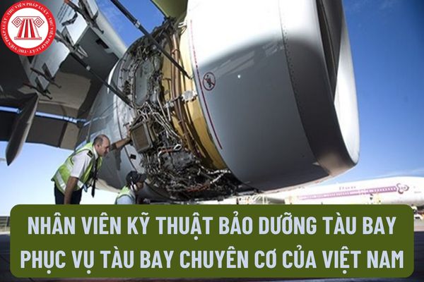 Người nước ngoài có thể trở thành nhân viên kỹ thuật bảo dưỡng tàu bay phục vụ tàu bay chuyên cơ của Việt Nam không?