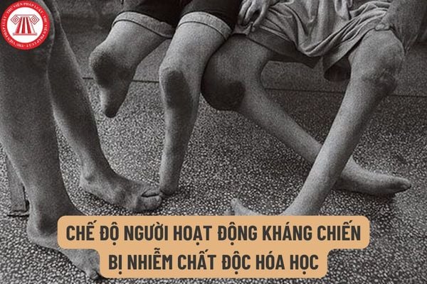 Bản khai để giải quyết chế độ người hoạt động kháng chiến bị nhiễm chất độc hóa học mới nhất là mẫu nào?