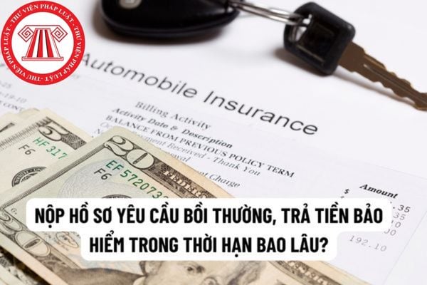 Quy định Về Nộp Hồ Sơ Yêu Cầu Bồi Thường Trả Tiền Bảo Hiểm Công Ty Bảo Hiểm Trả Tiền Bảo Hiểm 