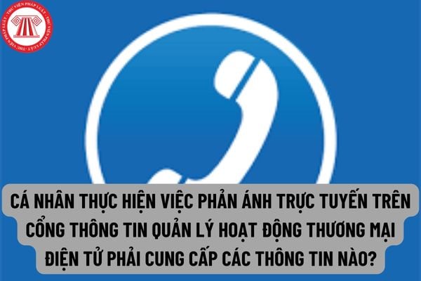 Cá nhân thực hiện việc phản ánh trực tuyến trên Cổng thông tin Quản lý hoạt động thương mại điện tử phải cung cấp các thông tin nào?