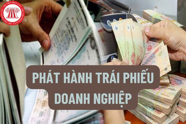 Hồ sơ đề nghị cấp bảo lãnh chính phủ đối với khoản phát hành trái phiếu doanh nghiệp gồm những gì?