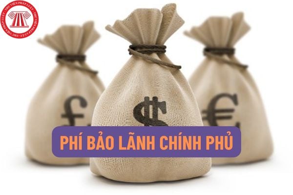 Xác định lãi phạt chậm trả trên số tiền phí bảo lãnh chính phủ chậm nộp như thế nào? Phí bảo lãnh chính phủ đối với doanh nghiệp là gì?