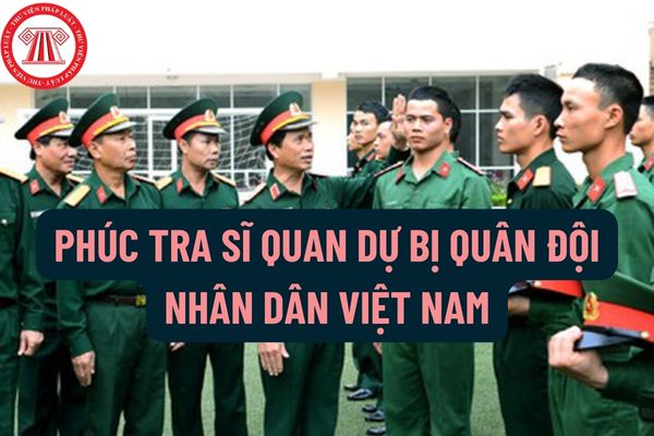 Phúc tra sĩ quan dự bị Quân đội nhân dân Việt Nam bằng những phương pháp nào? Thực hiện thống kê, báo cáo về sĩ quan dự bị Quân đội nhân dân Việt Nam như thế nào?