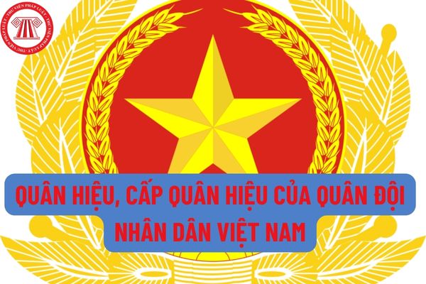 Quân hiệu của Quân đội nhân dân Việt Nam, cấp hiệu của Quân đội nhân dân Việt Nam là gì? Cách nhận biết như thế nào?