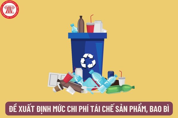 Đề xuất định mức chi phí tái chế sản phẩm, bao bì? Việc hỗ trợ tài chính cho hoạt động tái chế sản phẩm, bao bì được quy định như thế nào?