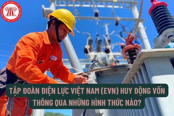 Tập đoàn Điện lực Việt Nam (EVN) huy động vốn thông qua những hình thức nào? Tập đoàn Điện lực Việt Nam (EVN) thực hiện bảo toàn vốn Nhà nước bằng các biện pháp gì?