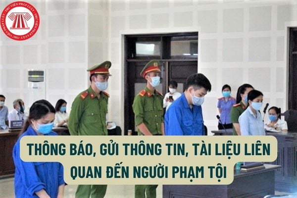 Thời hạn thông báo, gửi thông tin, tài liệu liên quan đến người phạm tội là bao lâu?