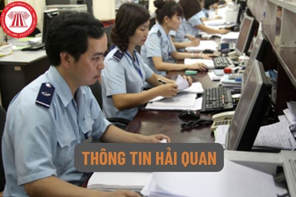 Thông tin hải quan là gì? Cơ quan hải quan tổ chức thu thập thông tin ở nước ngoài để phục vụ cho hoạt động gì?