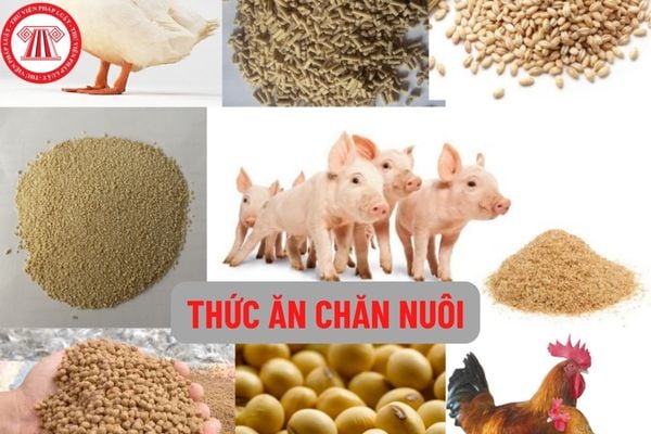 Thức ăn chăn nuôi là gì, thức ăn chăn nuôi thương mại là gì? Quyền và nghĩa vụ của cơ sở khảo nghiệm thức ăn chăn nuôi là gì?