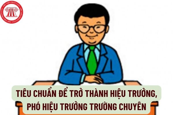 Tiêu chuẩn để trở thành Hiệu trưởng, Phó Hiệu trưởng trường chuyên là gì? Nhân viên trong trường chuyên phải đáp ứng tiêu chuẩn gì?