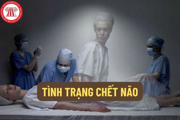 Có những loại vi khuẩn gây viêm màng não nào và cách phòng tránh lây nhiễm?
