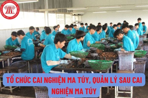 Quản lý sau cai nghiện ma túy tại nơi cư trú là gì? Thực hiện quản lý sau cai nghiện ma túy dựa theo nguyên tắc nào?