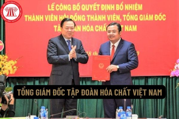 Để được bổ nhiệm làm Tổng giám đốc Tập đoàn Hóa chất Việt Nam phải đáp ứng các tiêu chuẩn và điều kiện gì?