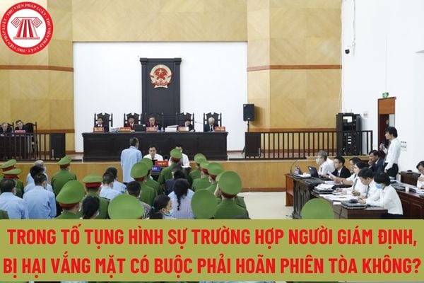 Trong tố tụng hình sự trường hợp người giám định, bị hại vắng mặt có buộc phải hoãn phiên tòa không?