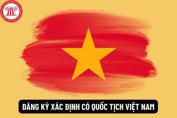 Tờ khai đề nghị đăng ký xác định có quốc tịch Việt Nam mới nhất hiện nay là mẫu nào? Hồ sơ yêu cầu xác định có quốc tịch Việt Nam gồm những tài liệu gì?