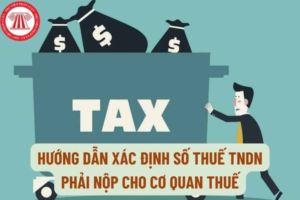 Hướng dẫn xác định số thuế TNDN phải nộp cho cơ quan thuế? Đối tượng nào phải nộp thuế TNDN?