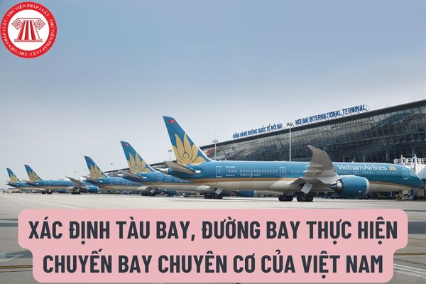Việc xác định tàu bay, đường bay thực hiện chuyến bay chuyên cơ của Việt Nam phải thực hiện vào thời gian nào?