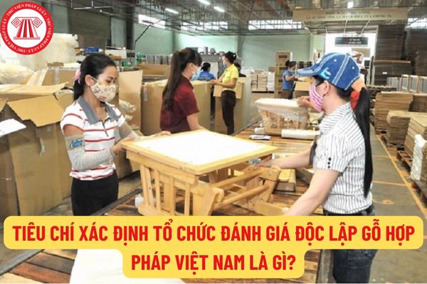 Tiêu chí xác định tổ chức đánh giá độc lập gỗ hợp pháp Việt Nam là gì? Nội dung đánh giá độc lập gỗ hợp pháp Việt Nam là gì?