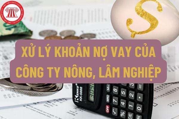 Xử lý khoản nợ vay của công ty nông, lâm nghiệp tại tổ chức tín dụng khi thực hiện sắp xếp, đổi mới theo Nghị định 118/2014/NĐ-CP như thế nào?