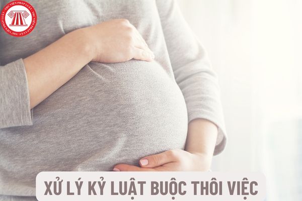 Có xử lý kỷ luật buộc thôi việc đối với viên chức đang mang thai khi bị Tòa án kết án phạt tù không?