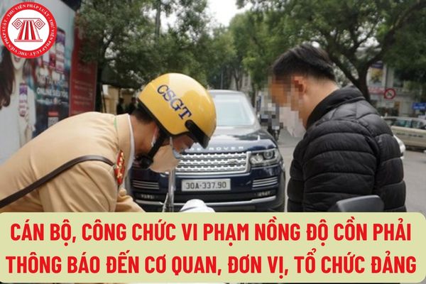 Tại Hà Nội nếu cán bộ, công chức vi phạm nồng độ cồn phải thông báo đến cơ quan, đơn vị, tổ chức đảng của người vi phạm để xử lý?
