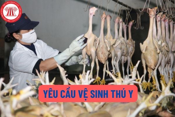 Yêu cầu vệ sinh thú y đối với chợ chuyên kinh doanh động vật là gì? Yêu cầu vệ sinh thú y đối với cơ sở kinh doanh sản phẩm động vật là gì?