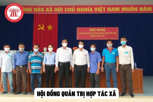 Hội đồng quản trị hợp tác xã