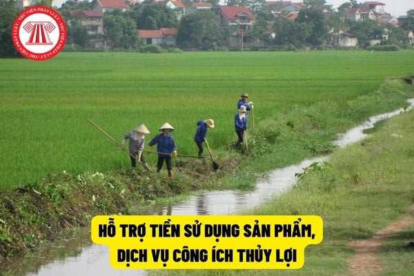 Hỗ trợ tiền sử dụng sản phẩm, dịch vụ công ích thủy lợi