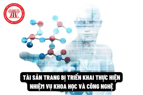 Pháp luật