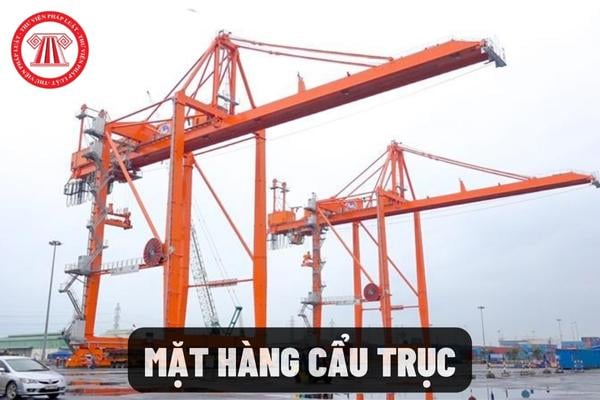 Mặt hàng cẩu trục