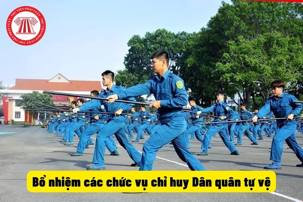 Bổ nhiệm các chức vụ chỉ huy Dân quân tự vệ