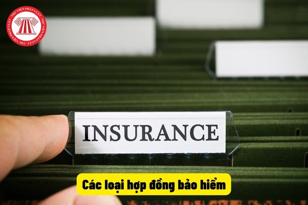 Các loại hợp đồng bảo hiểm