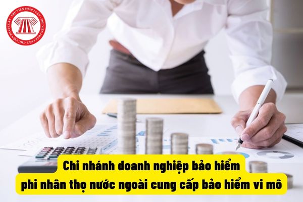 Chi nhánh doanh nghiệp bảo hiểm phi nhân thọ nước ngoài cung cấp bảo hiểm vi mô