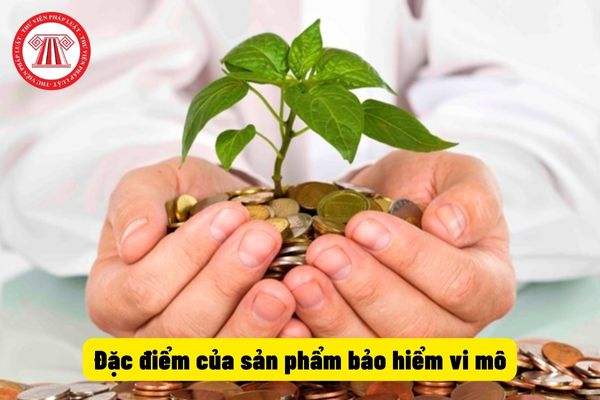 Đặc điểm của sản phẩm bảo hiểm vi mô