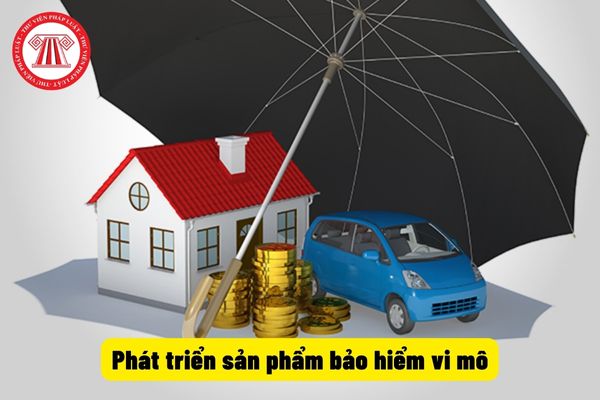 Phát triển sản phẩm bảo hiểm vi mô