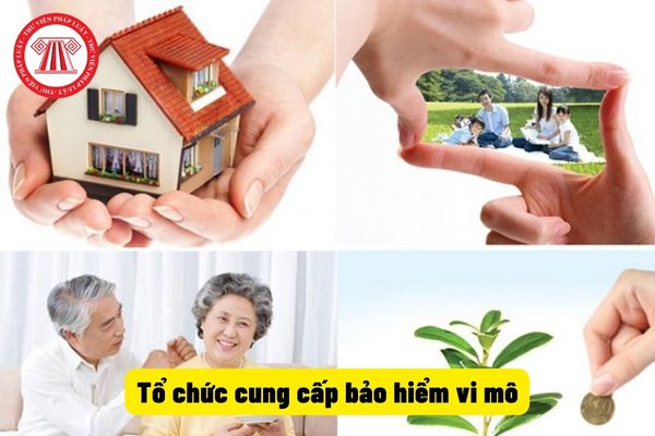 Tổ chức cung cấp bảo hiểm vi mô