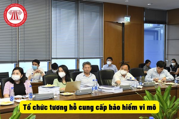 Tổ chức tương hỗ cung cấp bảo hiểm vi mô