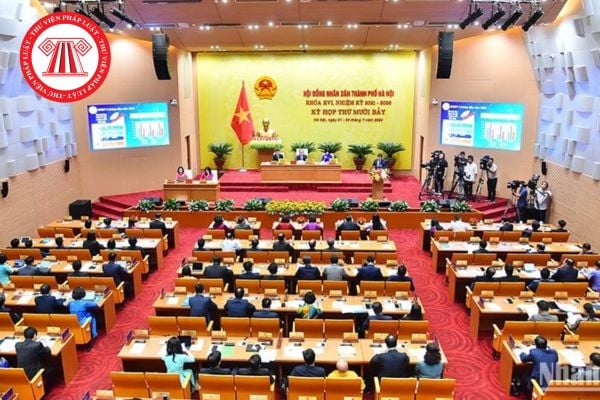 Pháp luật