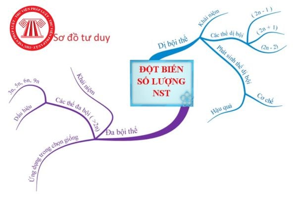 Nhiễm sắc thể là gì? Cấu trúc nhiễm sắc thể? Học sinh lớp 12 cần đạt những yêu cầu gì đối với môn sinh học?