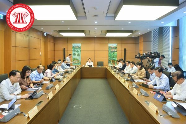 Pháp luật
