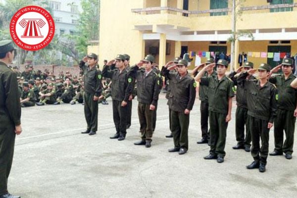 Pháp luật
