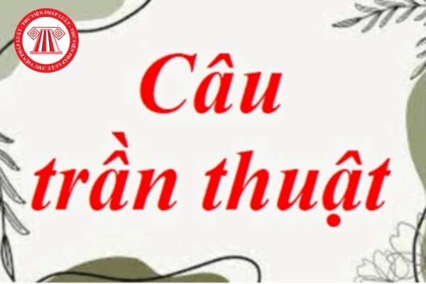 Câu trần thuật là gì? Cách đặt câu trần thuật? Ví dụ về câu trần thuật? Dấu hiệu nhận biết câu trần thuật? Cơ sở giáo dục phổ thông bao gồm?