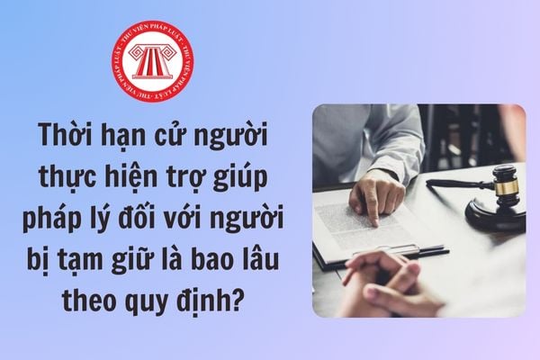 Pháp luật