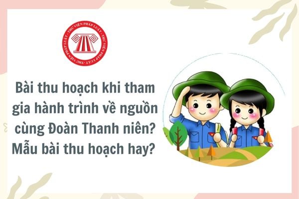 Bài thu hoạch khi tham gia hành trình về nguồn cùng Đoàn Thanh niên? Mẫu bài thu hoạch hay? Trách nhiệm của Đoàn Thanh niên đối với thanh niên là gì?