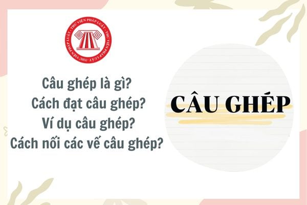 Câu ghép là gì? Cách đặt câu ghép? Ví dụ câu ghép? Cách nối các vế câu ghép? Mục tiêu chương trình Ngữ văn cấp tiểu học?