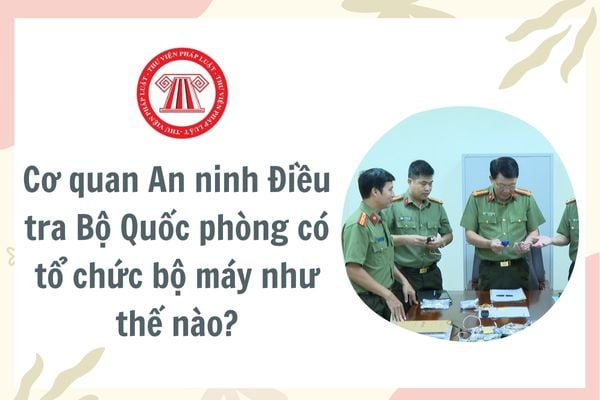 Pháp luật