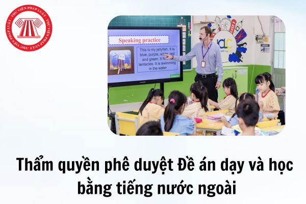 Pháp luật