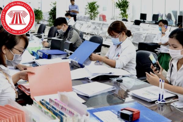 Pháp luật
