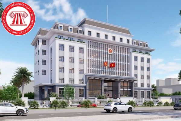 Pháp luật